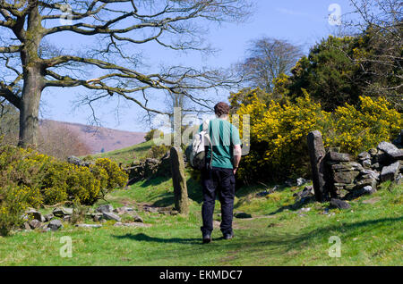 Caucasian Walker a piedi la Valle di Dane modo sentiero, Parco Nazionale di Peak District, Staffordshire, Regno Unito modello rilasciato Foto Stock