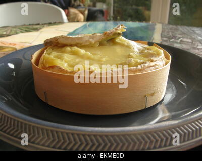 Camembert al forno Foto Stock