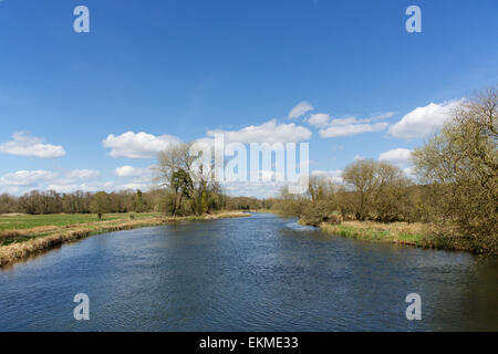 Prova del fiume che scorre attraverso il Test Valley vicino a Romsey nel Hampshire. Alberi e arbusti provenienti da fiorisce in tarda primavera Foto Stock