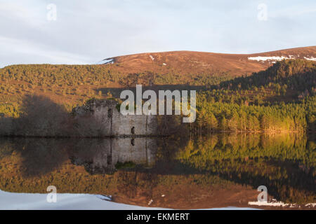 Castello sul Loch un Eilein, Rothiemurcus, Scozia Foto Stock