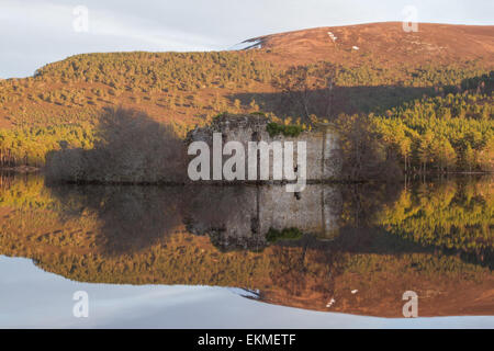 Castello sul Loch un Eilein, Rothiemurcus, Scozia Foto Stock