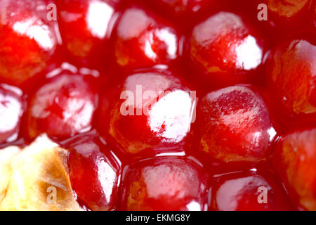 Sfondo di melograno. Macro di pelati semi maturi Foto Stock