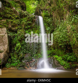 Una lunga esposizione colpo di una bella cascata nella giungla Foto Stock
