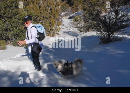 Senior Citizen e il suo cane sul ripido tratto nevoso di un sentiero di Sandia Mountains del New Mexico - USA Foto Stock