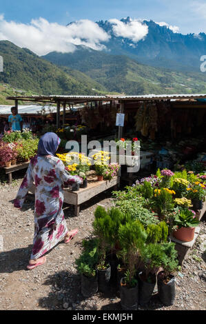 Vista del Monte Kota Kinabalu con il mercato locale in primo piano, Borneo, Malaysia Foto Stock