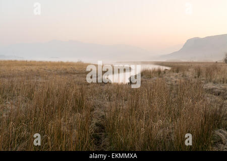 Alba e la nebbia di iniziare a sollevare come il fiume Derwent incontra Derwentwater - Lake District inglese Foto Stock