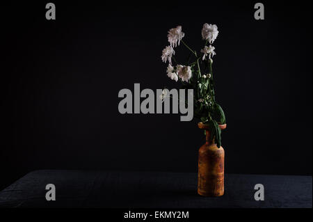 Gerbera in un vaso, still life Foto Stock