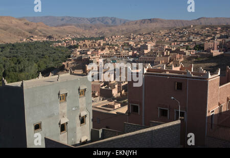 Villaggio nelle oasi di Tinghir in corrispondenza del bordo di un campo di Palm o data di alberi Foto Stock