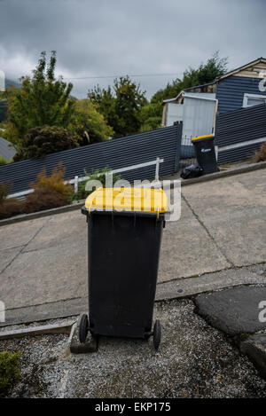 Baldwin Street, Dunedin, Nuova Zelanda, strada più ripida del mondo. Foto Stock