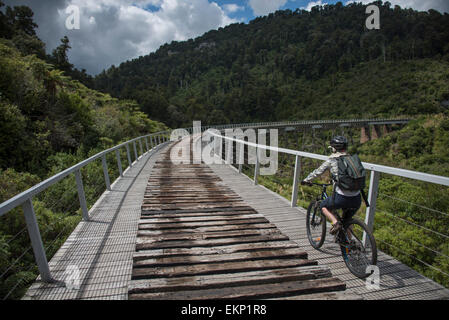 Old Coach Road a piedi/bikeway, Ohakune, Isola del nord, Nuova Zelanda. Foto Stock