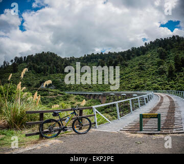 Old Coach Road a piedi/bikeway, Ohakune, Isola del nord, Nuova Zelanda. Foto Stock