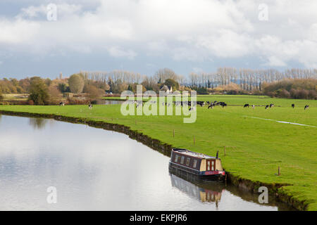 Barca stretta ormeggiato sul fiume Tamigi vicino Lechlade-on-Thames, Oxfordshire, England, Regno Unito Foto Stock