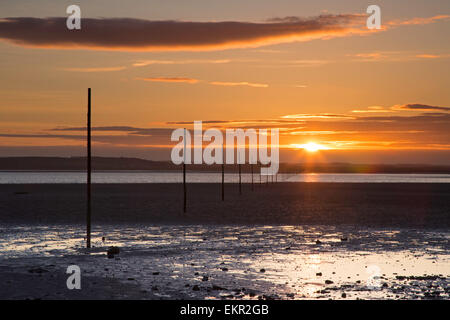 Tramonto sul palo marcatori per l'antica il cammino del pellegrino di fronte al Santo Isola di Lindisfarne, Northumberland, England, Regno Unito Foto Stock