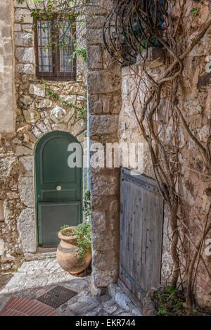 Un verde di legno ad arco porta anteriore in una vecchia casa in pietra con una viticoltura fino la parete adiacente Foto Stock