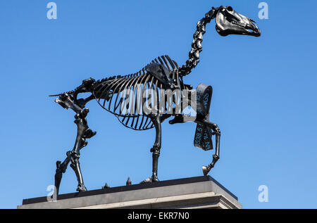 Un cavallo scultura di scheletro sul quarto zoccolo in Trafalgar Square a Londra. La procedura di installazione è dall'artista tedesco Hans Haacke Foto Stock