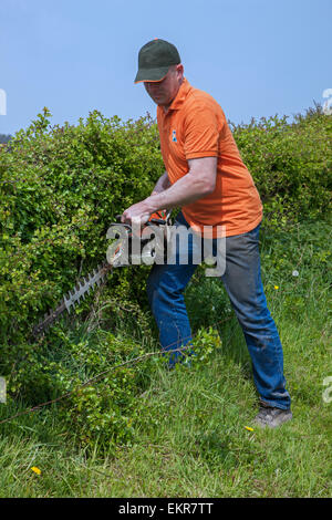 Uomo siepe di fresatura con benzina-powered tagliasiepi Foto Stock