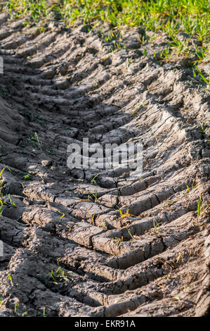 Il pneumatico del trattore le tracce in campo fangoso - Francia. Foto Stock