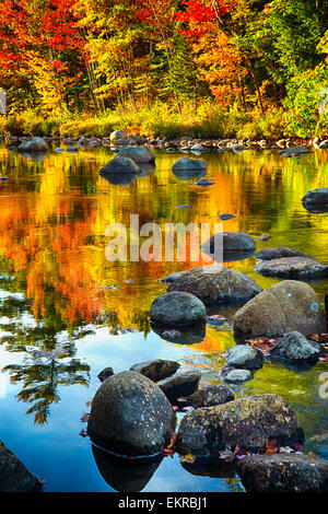 Basso angolo di vista fiume con rocce e foglie colorate riflessioni, Swift River, White Mountains National Forest, New Hampshire Foto Stock