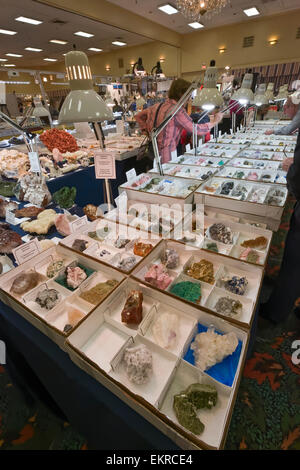 Tucson Gem e Mineral Show, Tucson, Arizona Foto Stock