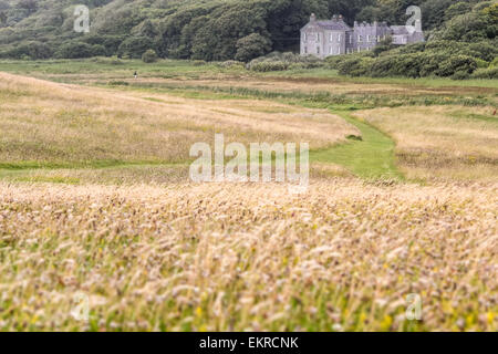 Prati presso Il Derrynane House, Caherdaniel, Killarney, County Kerry, Irlanda Foto Stock