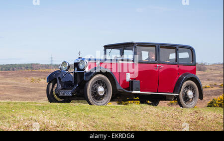 Un auto d'epoca competere nel Daffodil eseguire nella nuova foresta in una giornata di sole. Foto Stock