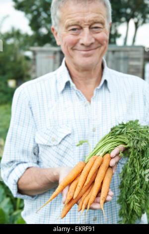 Senior uomo sul riparto azienda appena raccolto le carote Foto Stock