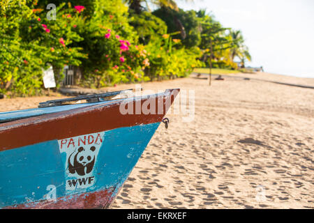 Una barca del WWF a Cape Maclear, sul lago Malawi Malawi, Africa. Foto Stock