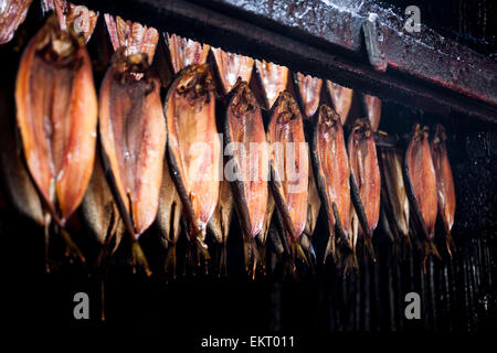 Con salmone fumare in una smokery. Foto Stock