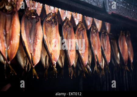Con salmone fumare in una smokery. Foto Stock