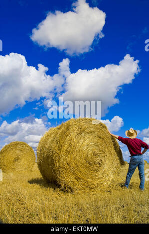 Un uomo si affaccia sulla paglia di grano rotoli e Sky con Cumulus nuvole, vicino a Carey, Manitoba, Canada, la scelta degli artisti Foto Stock