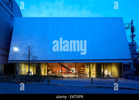 Miu Miu Tokyo, Tokyo, Giappone. Architetto: Herzog & de Meuron, 2015. Foto Stock