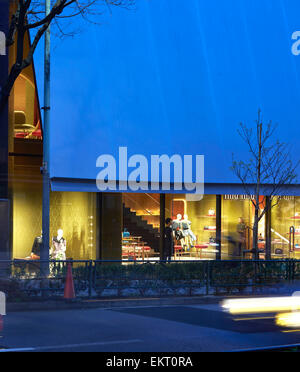 Miu Miu Tokyo, Tokyo, Giappone. Architetto: Herzog & de Meuron, 2015. Foto Stock