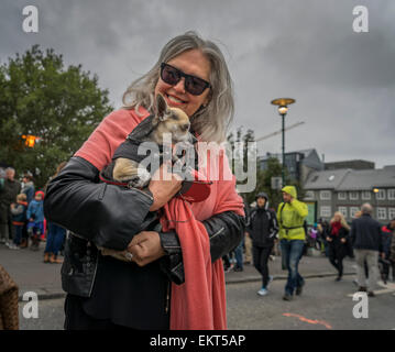 Donna che mantiene un piccolo cane. annuale di fine estate festival-festival culturale (menningarnott), Reykjavik, Islanda Foto Stock