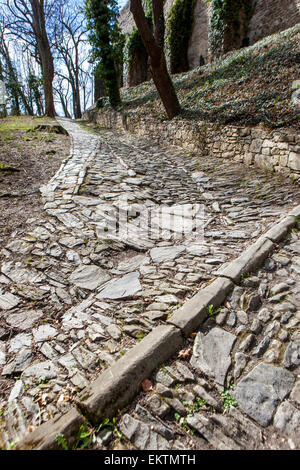 Percorso in ciottoli va alla Cattedrale Kutna Hora, Repubblica Ceca Foto Stock
