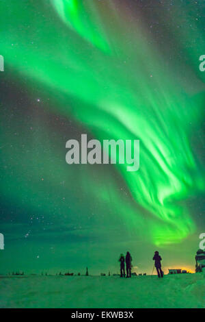 L'aurora boreale di febbraio 3-4, 2014 visto da Churchill, Manitoba, Canada, guardando ad ovest di Orione e Toro, con tour gro Foto Stock