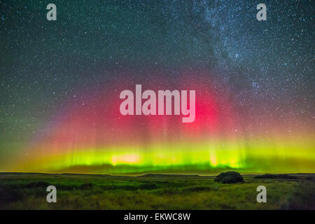 Il 26-27 agosto, 2014 - Aurora boreale sopra praterie Parco Nazionale in Saskatchewan, Canada. Foto Stock