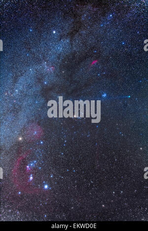 18 gennaio 2015 - Comet Lovejoy (C/2014 Q2) in alto a destra nei pressi delle Pleiadi, con la sua lunga blu coda di ioni che risale a th Foto Stock