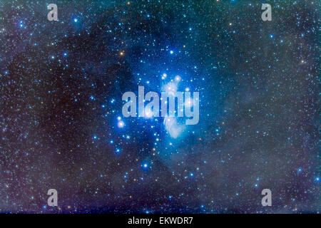 Le Pleiadi star cluster o di Sette sorelle, aka Messier 45, in Toro. La parte più brillante della nebulosa di riflessione intorno al P Foto Stock