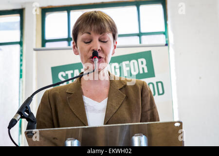 Londra, Regno Unito. Il 14 aprile, 2015. Partito dei Verdi generale Manifesto elettorale di credito di lancio: Guy Corbishley/Alamy Live News Foto Stock