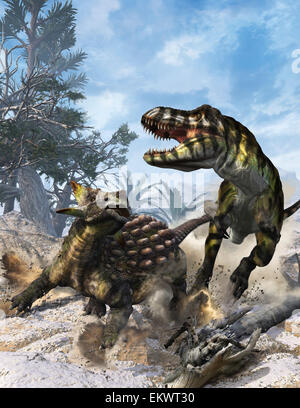 Ankylosaurus hits Tyrannosaurus rex con il suo clubbed coda in auto-difesa. Foto Stock