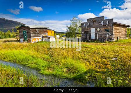 Storico di cabine di data mining a Coldfoot Camp, Coldfoot, milepost 175 sulla Dalton Hwy, Arctic Alaska, inizio di caduta. Foto Stock