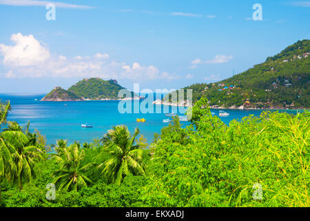 Il mare e la giungla. bella ko tao island. Della Thailandia Foto Stock