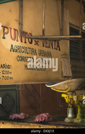 Cuba Trinidad Punto de Venta shop store locale agricolo producono carne sulle scale del contatore Foto Stock