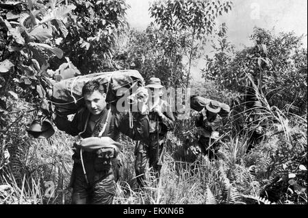 Emergenza in Malesia. I soldati dell'Esercito britannico visto qui di pattuglia nella giungla: la malese a seguito di disordini. 17 Luglio 1965 Foto Stock