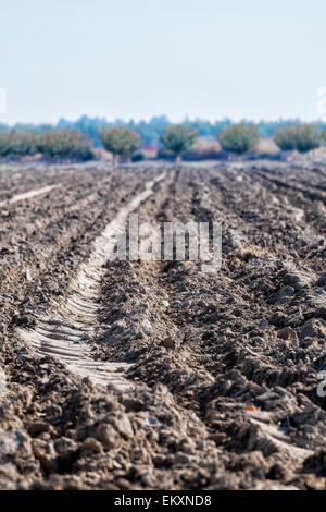 Maggese raccolto al di fuori del campo di Fresno. Tre anni di siccità ha portato a un drammatico aumento in colture unplanted Fresno Co. Foto Stock