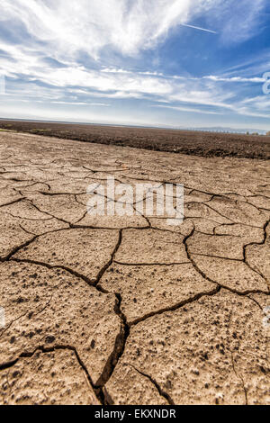 Incrinato e terra asciutta accanto a maggese campo di coltivazione. La Contea di Fresno, San Joachin Valley, California, Stati Uniti d'America Foto Stock