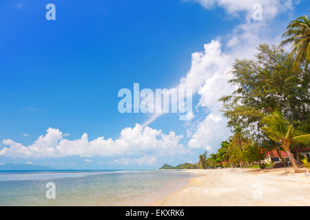 Koh Samui spiaggia tropicale e palme di cocco Foto Stock