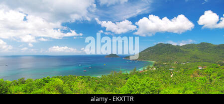 Il mare e la giungla. bella ko tao island. Della Thailandia Foto Stock