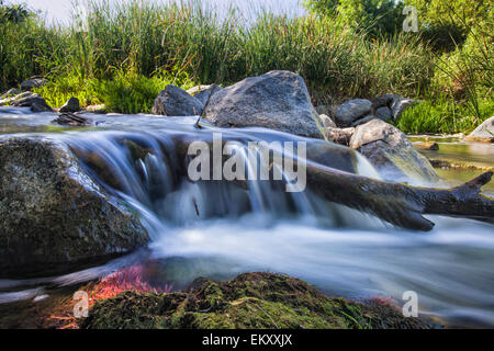 Piccole cascate del fiume di Los Angeles, Sepulveda Basin Area ricreativa, Los Angeles, California, Stati Uniti d'America Foto Stock