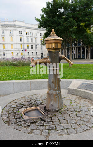 Un vecchio azionato a mano fontana di Vienna in Austria. Foto Stock